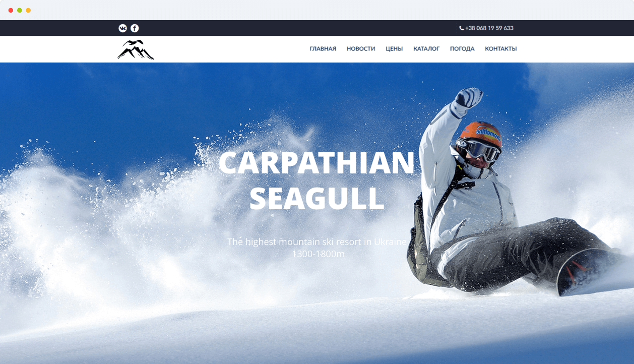 Carpatian Seagull application